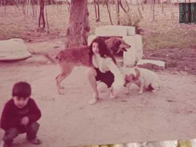 �Ci piaceva tanto stare in mezzo alla natura con i nostri cani: ne avevamo parecchi, vista la vastit� di area verde a disposizione�